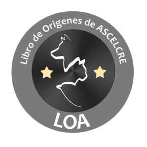 Logo Libro de Orígenes de ASCELCRE