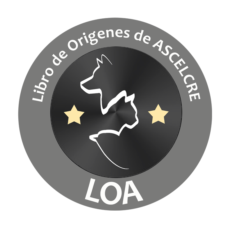 Logo Libro de Orígenes de ASCELCRE
