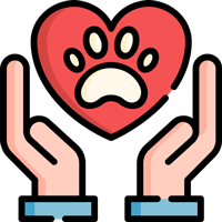 animal care