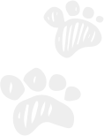 Shape1